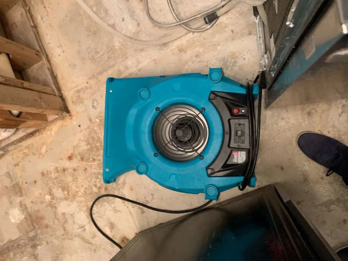 Air mover drying equipment for Mold Remediation & Removal in Crestwood